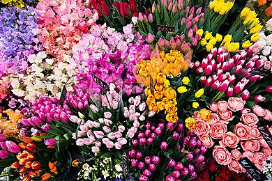 《祝你好死》快餐更新预告 7月7日正式上线